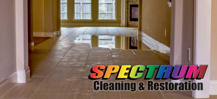 Water/Flood Damage Restoration